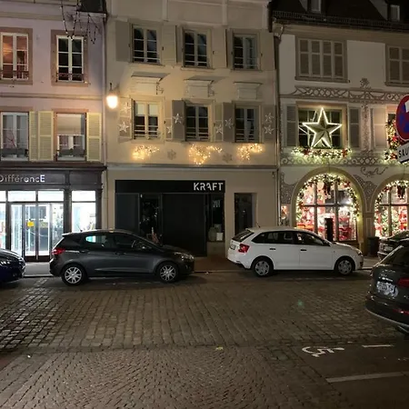 Des 2 Tetes Apartment Colmar